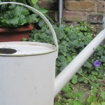 Water-Saving Irrigation Strategies