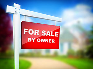 Read more about the article Lessons From a Bad FSBO Purchase
